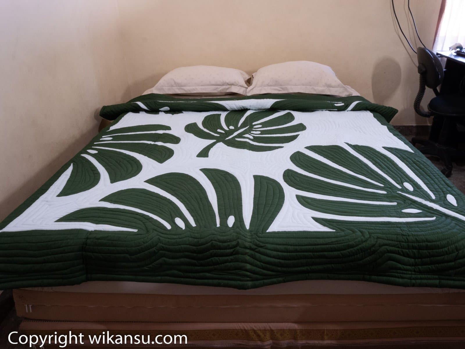Tom Thumb Color Monstera Leaves
