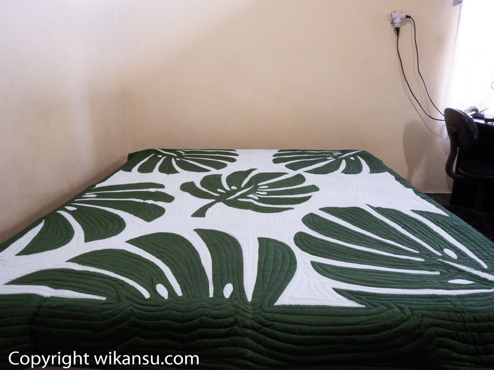 Tom Thumb Color Monstera Leaves